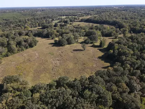 1355 County Road 3335, Avery, TX 75554 photo 20