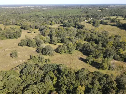 1355 County Road 3335, Avery, TX 75554 photo 22
