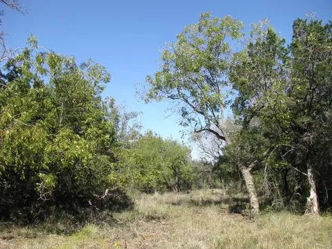 tbd Pr 42112, Evant, TX 76525 photo 21