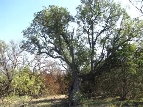 tbd Pr 42112, Evant, TX 76525 photo 35