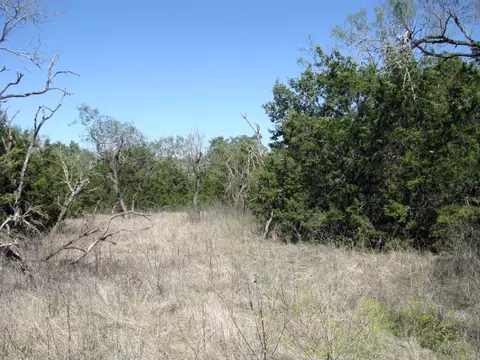 tbd Pr 42112, Evant, TX 76525 photo 18