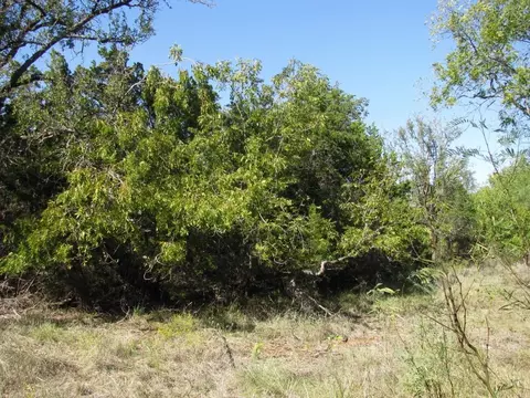 tbd Pr 42112, Evant, TX 76525 photo 24