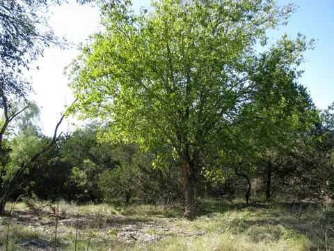 tbd Pr 42112, Evant, TX 76525 photo 2