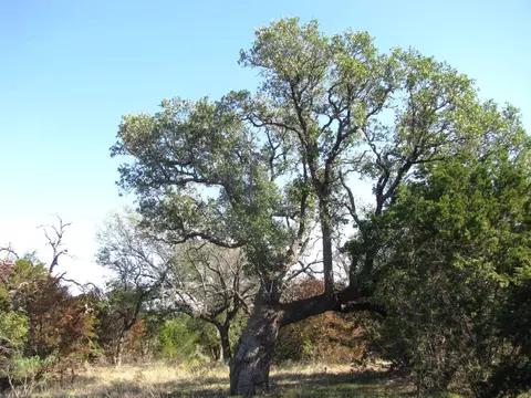 tbd Pr 42112, Evant, TX 76525 photo 4