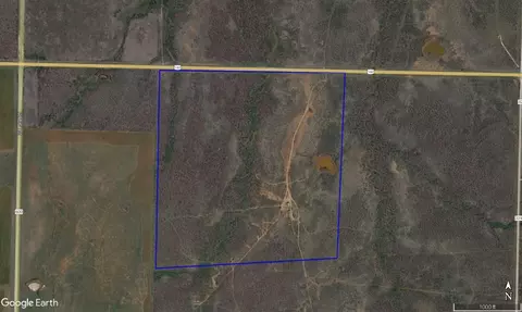 tbd Us Highway 180, Anson, TX 79501