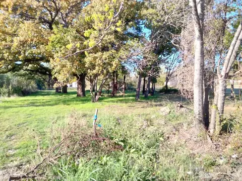 Tbd Mineral Wells, Terrell, TX 75160