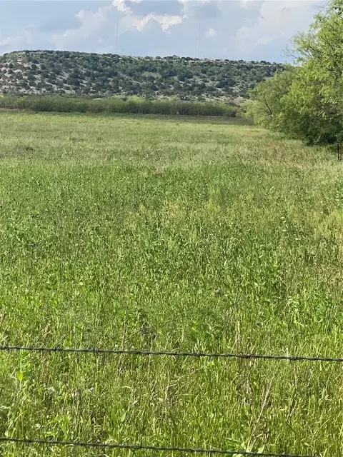 Tbd 71.4 Acres County Road 186, Ovalo, TX 79541