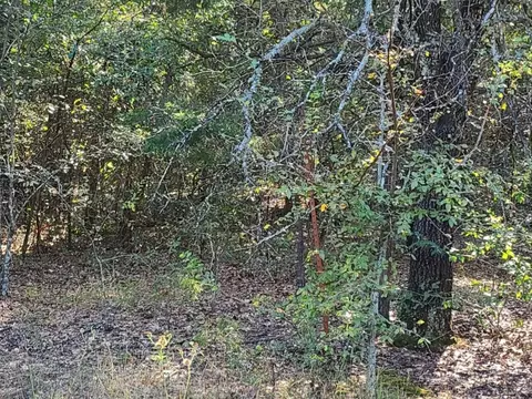 0 County Road 1158 Rd, Brashear, TX 75420