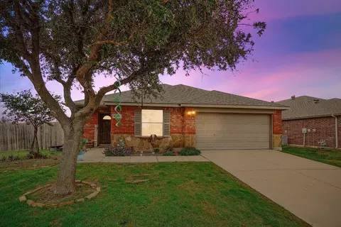 14029 Rodeo Daze Dr, Haslet, TX 76052