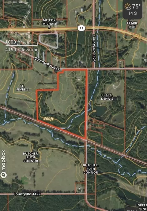 1001 Cr 1124, Daingerfield, TX 75638