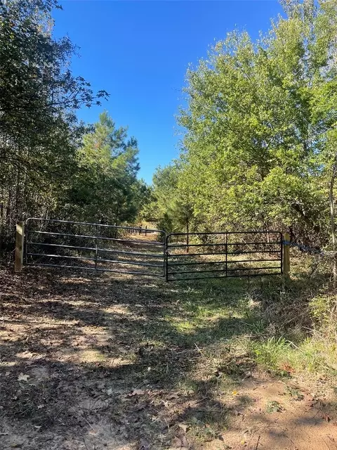 Tbd Mistletoe Rd, Gilmer, TX 75644 photo 5