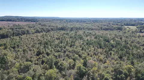 Tbd Mistletoe Rd, Gilmer, TX 75644 photo 6