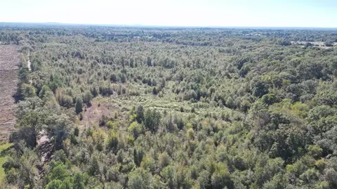 Tbd Mistletoe Rd, Gilmer, TX 75644 photo 4