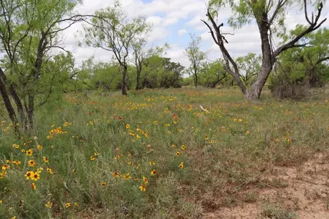 99999 Rr 11, Millersview, TX 76862