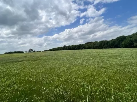 tbd fm 67 / hcr 4415, Grandview, TX 76050