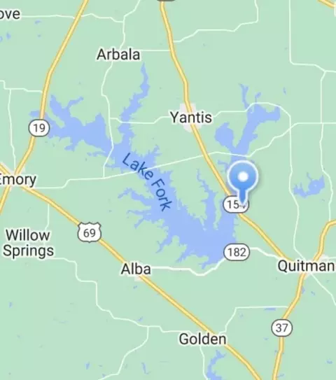 185 Geronimo, Quitman, TX 75783 photo 21