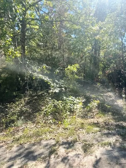 00 Cayuga Dr, Mabank, TX 75156