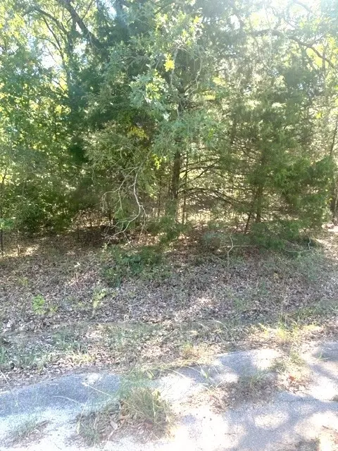 0 00 Cayuga Dr, Mabank, TX 75156