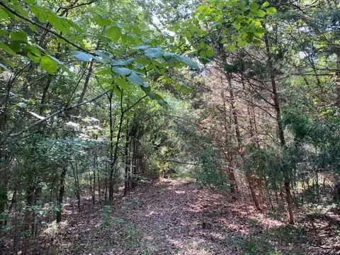 Tr 1 Cr 41514, Athens, TX 75751