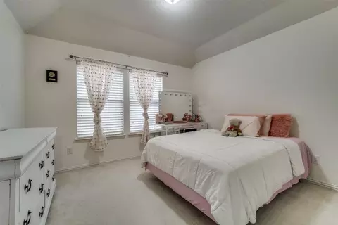 1551 Meadows Ave, Lantana, TX 76226 photo 28