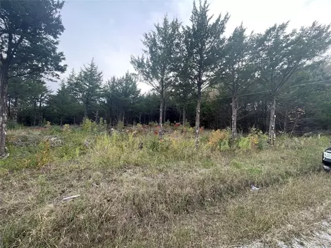 Tbd Jack Harris Lane, Pottsboro, TX 75076