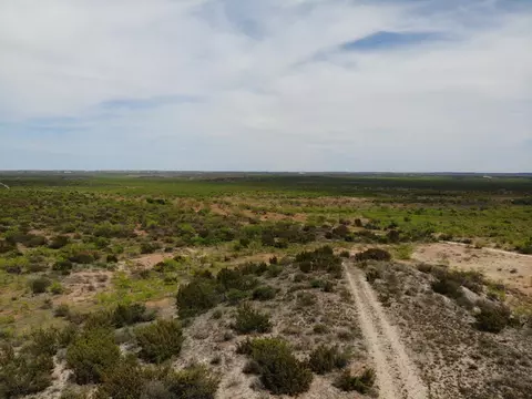 6375 E County Road 337, Loraine, TX 79532 photo 37