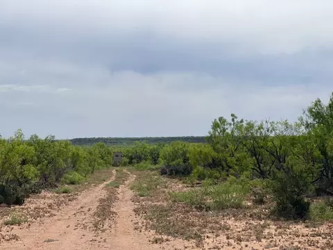 6375 E County Road 337, Loraine, TX 79532 photo 31
