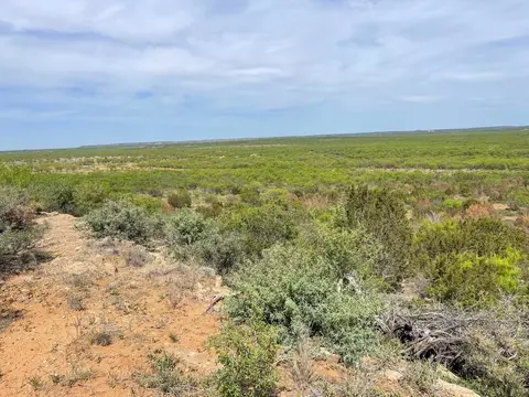 6375 E County Road 337, Loraine, TX 79532 photo 34