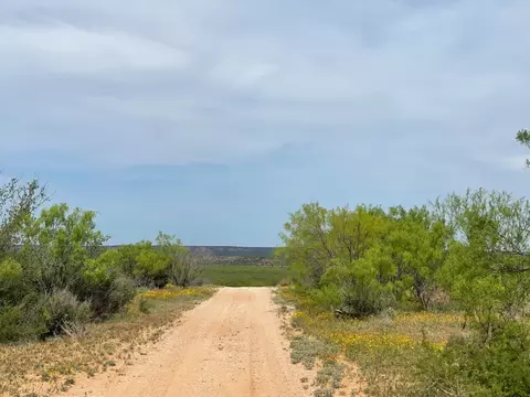 6375 E County Road 337, Loraine, TX 79532 photo 36