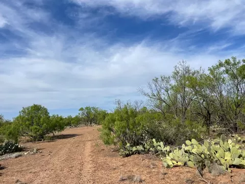 6375 E County Road 337, Loraine, TX 79532 photo 29