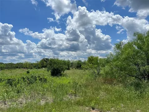 48 Torrey Pines Drive, Graford, TX 76449