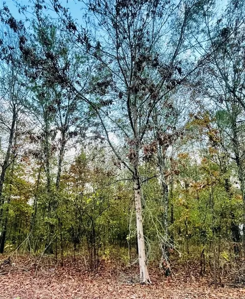 0 Richardson Rd #LOT 41, Stonewall, LA 71078
