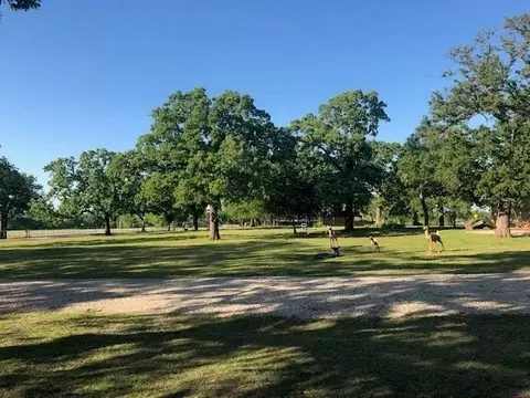 598 Spring Hill Rd, Aubrey, TX 76227