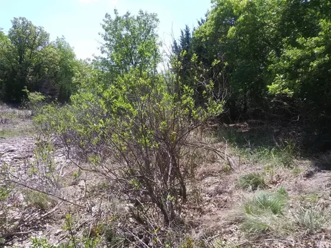 68 County Road 611 Rd, Brownwood, TX 76801
