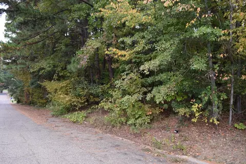 0 Mark Dr, Minden, LA 71055 photo 4