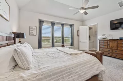 1010 Sharp St, Anna, TX 75409 photo 17