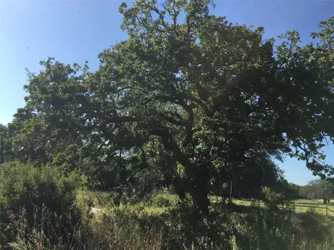Tbd Fm 1689, May, TX 76857