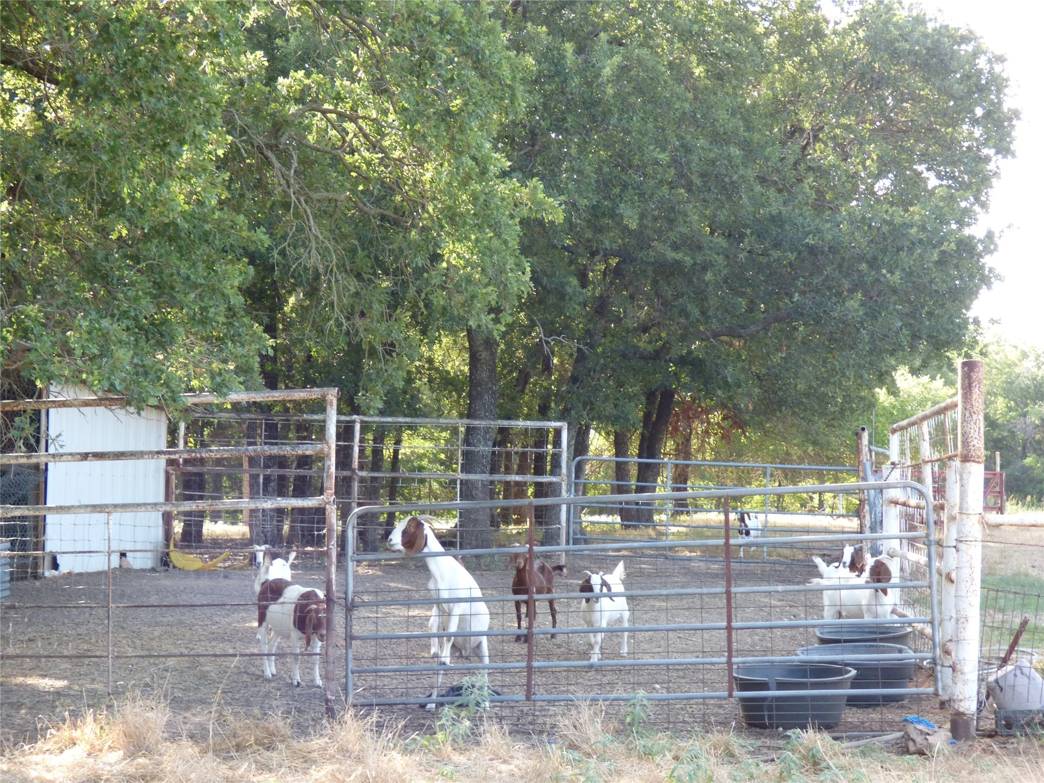 142 County Road 1591 Rd