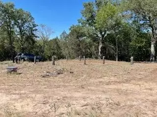 1017 Cedar Hill Dr, Nemo, TX 76070 photo 7