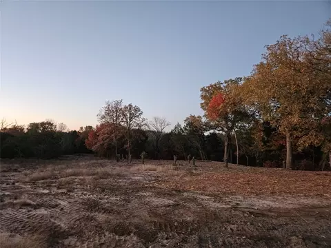1017 Cedar Hill Dr, Nemo, TX 76070 photo 2