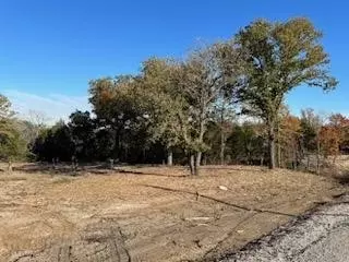 1017 Cedar Hill Dr, Nemo, TX 76070 photo 6