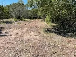 1017 Cedar Hill Dr, Nemo, TX 76070 photo 8