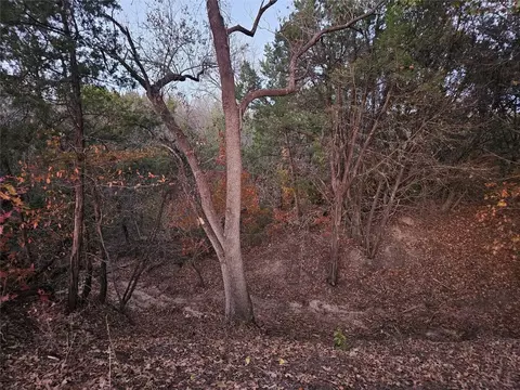 1017 Cedar Hill Dr, Nemo, TX 76070 photo 4