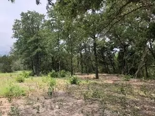 1017 Cedar Hill Dr, Nemo, TX 76070 photo 5
