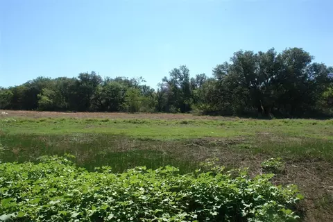5003 Cr 192, Bangs, TX 76823 photo 5