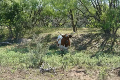 5003 Cr 192, Bangs, TX 76823 photo 4