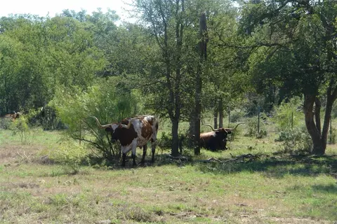 5003 Cr 192, Bangs, TX 76823 photo 3