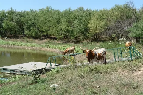 5003 Cr 192, Bangs, TX 76823 photo 7