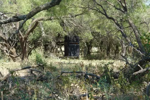 5003 Cr 192, Bangs, TX 76823 photo 12