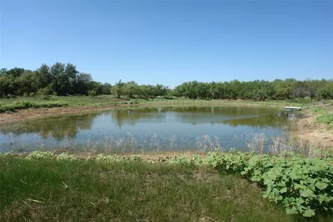 5003 Cr 192, Bangs, TX 76823 photo 6